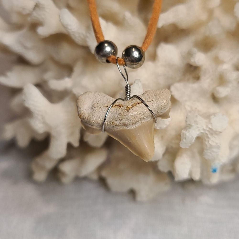 🦈 Shark tooth necklace